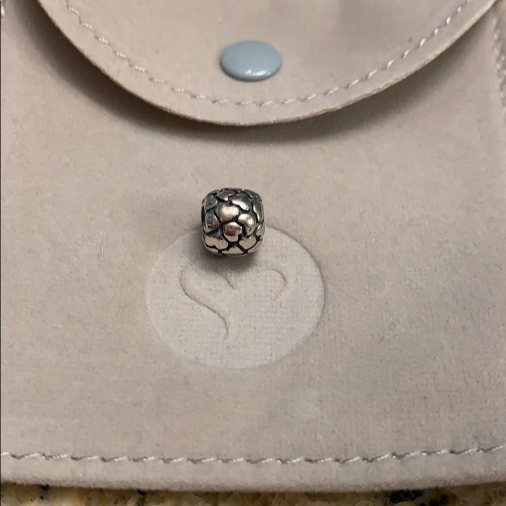 Pandora heart charm